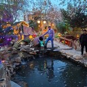 ���������� �����-���������, ���� ������� �����, 35 ���, ������������ ��� ������, ����� � ���������, c�������� ���������, ���������