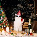 ���������� �������, ���� ������� �����, 28 ���, ������������ ��� c�������� ���������