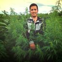 ���������� �����������, ���� ������� �����, 33 ����, ������������ ��� ������, ����� � ���������, c�������� ���������