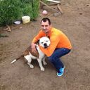 ���������� ������, ���� ������� �������, 40 ���, ������������ ��� ������, ����� � ���������, c�������� ���������