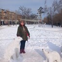 ���������� �����, ���� ������� ����, 46 ���, ������������ ��� c�������� ���������