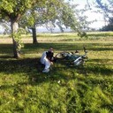 ,   Alex, 36 ,   ,   , c 
