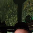 ���������� ������, ���� ������� ����, 46 ���, ������������ ��� ������, ����� � ���������