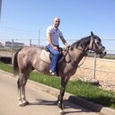 ���������� ������, ���� ������� ���, 45 ���, ������������ ��� ������, ����� � ���������