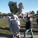 ���������� ���������, ���� ������� �������, 44 ����, ������������ ��� ������, ����� � ���������, c�������� ���������