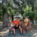  ,   , 37 ,   ,   