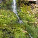 ���������� ��������, ���� ������� ������, 42 ����, ������������ ��� ������