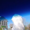 ���������� ������, ���� ������� ����, 34 ����, ������������ ��� ������, ����� � ���������