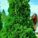 ���������� �����-���������, ���� ������� �����, 49 ���, ������������ ��� ����� � ���������, c�������� ���������, ���������