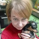 ���������� �������, ���� ������� �������, 53 ����, ������������ ��� ������, ����� � ���������