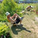 ���������� ��������, ���� ������� �������, 37 ���, ������������ ��� ������, ����� � ���������, c�������� ���������, ���������