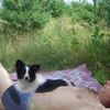  ,   , 60 ,   ,   , c 