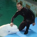 ���������� �����-���������, ���� ������� ��������, 38 ���, ������������ ��� ����� � ���������, c�������� ���������