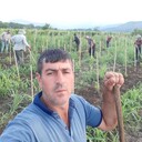 ���������� �������, ���� ������� Adalat, 47 ���, ������������ ��� ������, ����� � ���������