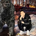 ���������� ������, ���� ����� ������, 22 ����, ������������ ��� ������, ����� � ���������