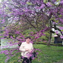 ���������� ������, ���� ������� ���������, 67 ���, ������������ ��� ������, ����� � ���������, c�������� ���������