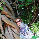 ���������� ������, ���� ������� ����, 43 ����, ������������ ��� ������, ����� � ���������, c�������� ���������