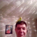 ���������� �����������, ���� ������� Ը���, 49 ���, ������������ ��� ������, ����� � ���������, c�������� ���������