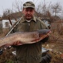  --,   , 61 ,   c 
