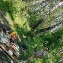 ���������� ������, ���� ������� �����, 30 ���, ������������ ��� ������, ����� � ���������