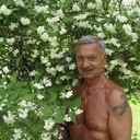   ,   , 62 ,   c 