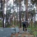 ���������� ���������, ���� ������� ������, 40 ���, ������������ ��� ������, ����� � ���������, c�������� ���������