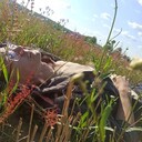 ���������� �����, ���� ����� ����, 21 ���, ������������ ��� ������, ����� � ���������