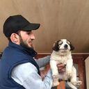 ���������� ����������, ���� ������� ���� ����, 34 ����, ������������ ��� ������, ����� � ���������