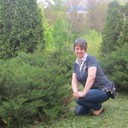 ���������� ���������, ���� ������� �������, 43 ����, ������������ ��� ������, ����� � ���������, c�������� ���������