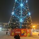 ���������� �������, ���� ������� �����, 48 ���, ������������ ��� c�������� ���������