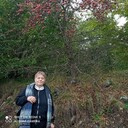 ���������� �������, ���� ������� ������, 67 ���, ������������ ��� ������, ����� � ���������