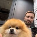 ���������� ������, ���� ������� ����, 39 ���, ������������ ��� ����� � ���������, c�������� ���������, ���������