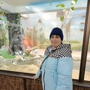 ���������� ����������, ���� ������� �������, 38 ���, ������������ ��� ������, ����� � ���������, c�������� ���������, ���������