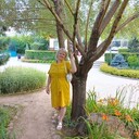 ���������� ����������, ���� ������� ������, 55 ���, ������������ ��� c�������� ���������