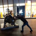 ���������� �����������, ���� ������� ������, 38 ���, ������������ 