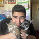 ���������� �����-���������, ���� ����� ����, 22 ����, ������������ ��� ����� � ���������, c�������� ���������