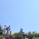 ���������� ���������, ���� ������� �������, 31 ���, ������������ ��� ������, ����� � ���������