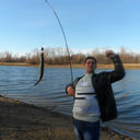 ���������� ���������� �����, ���� ������� �������, 47 ���, ������������ ��� ������, ����� � ���������, c�������� ���������