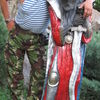  ,   Iskander, 53 ,  