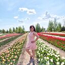 ���������� ����, ���� ������� �����, 36 ���, ������������ ��� ������, ����� � ���������, c�������� ���������