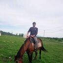 ���������� �����, ���� ������� �������, 38 ���, ������������ ��� ������, ����� � ���������, c�������� ���������, ���������