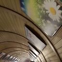 ���������� ������, ���� ������� Veysel, 37 ���, ������������ ��� ������, ����� � ���������, c�������� ���������