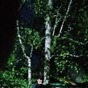 ���������� ��������, ���� ������� �������, 41 ���, ������������ ��� ������, ����� � ���������