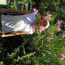  ,   Medvezhonok, 55 ,   ,   , c 