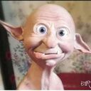   ,   Dimysik, 41 ,   ,   