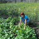 ���������� �������, ���� ������� ������, 50 ���, ������������ ��� ������, ����� � ���������