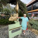  ,   , 60 ,     , 
