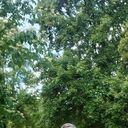 ���������� �������, ���� ������� �������, 62 ����, ������������ ��� ������, ����� � ���������