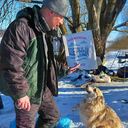 ���������� �����, ���� ������� ProNik, 44 ����, ������������ ��� ������, ����� � ���������, c�������� ���������