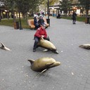 ���������� ������, ���� ������� ��������, 41 ���, ������������ ��� ������, ����� � ���������, c�������� ���������